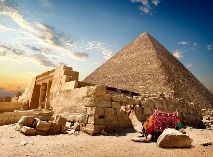 Your Dream Trips