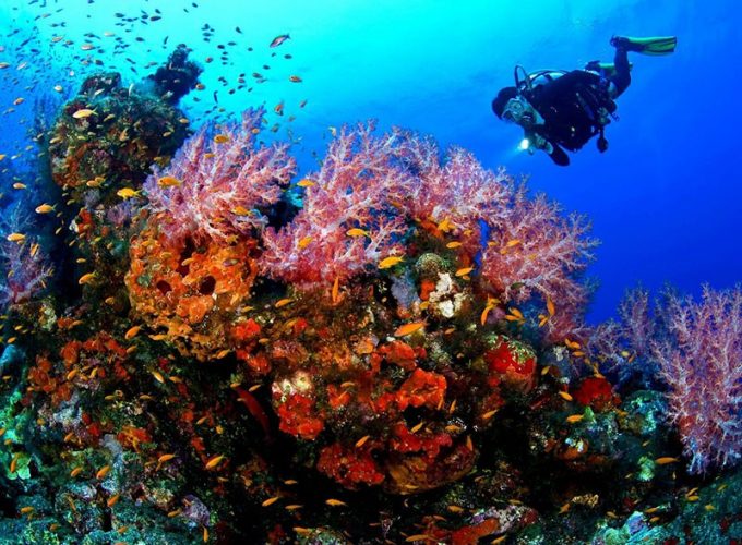 Your Dream Trips