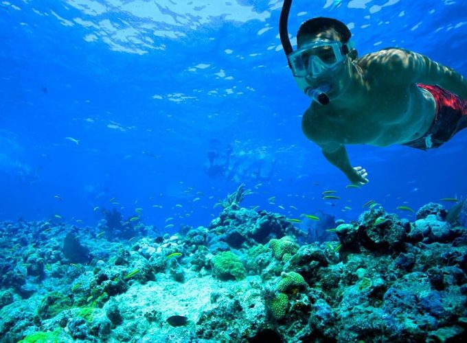Your Dream Trips