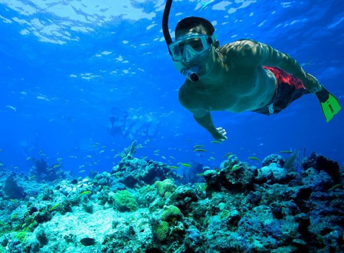 Your Dream Trips