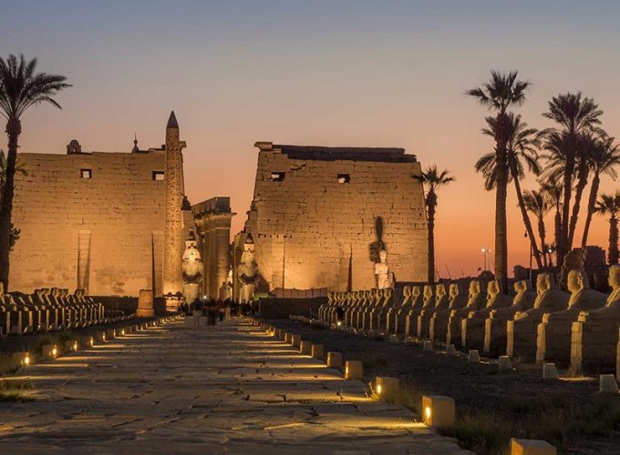 Your Dream Trips