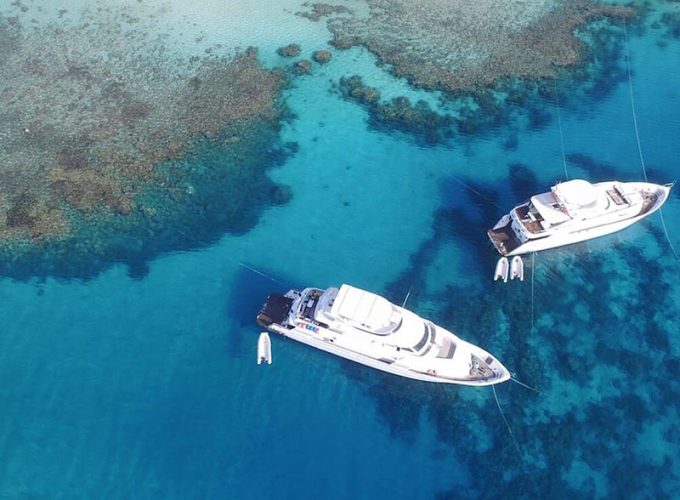 Your Dream Trips